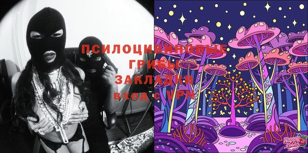 дживик Арсеньев
