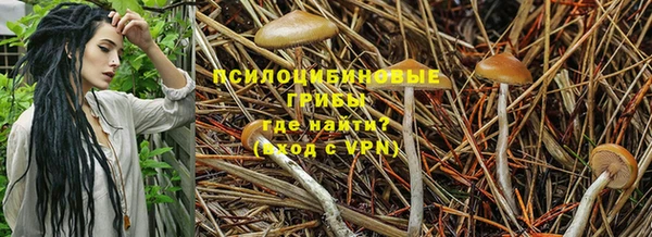 кокаин премиум Аркадак