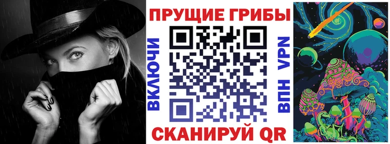 гидра вход  Бабушкин  Галлюциногенные грибы Psilocybe 